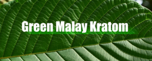 green malay kratom promo