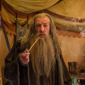 gandalf the grey with pipe
