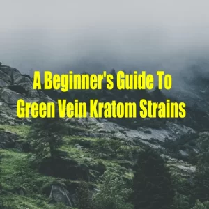 beginner’s guide to green vein kratom strains