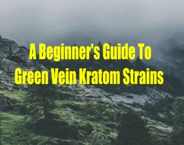 Beginner’s Guide To Green Vein Kratom Strains