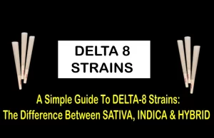 the difference between delta 8 strains sativa, indica hybrid