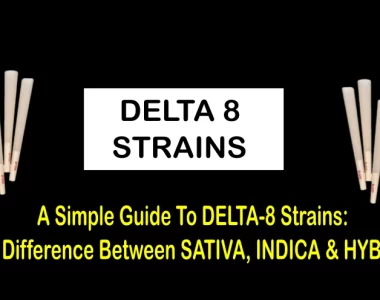 The Difference Between SATIVA, INDICA HYBRID