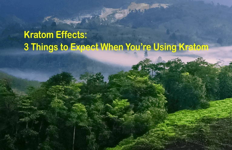 kratom effects main