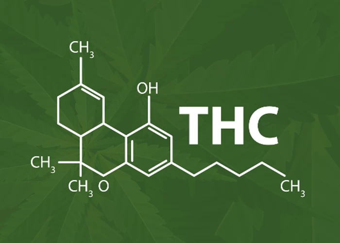 What Is The Difference Between Delta 8 THC vs Delta 9 THC vs Delta 10 THC