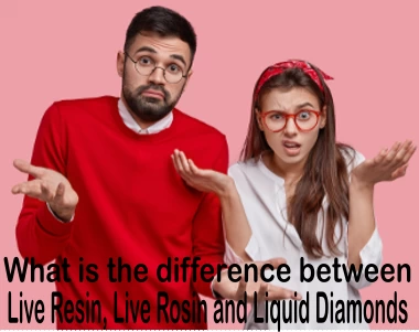 What is the difference between Live Resin, Live Rosin and Liquid Diamonds