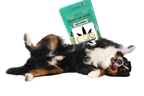 can cbd reduce stress in dogs - yes