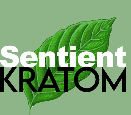 the best kratom brands sentient kratom
