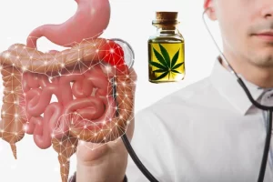 how cbd takes on colorectal cancer with a vengeance