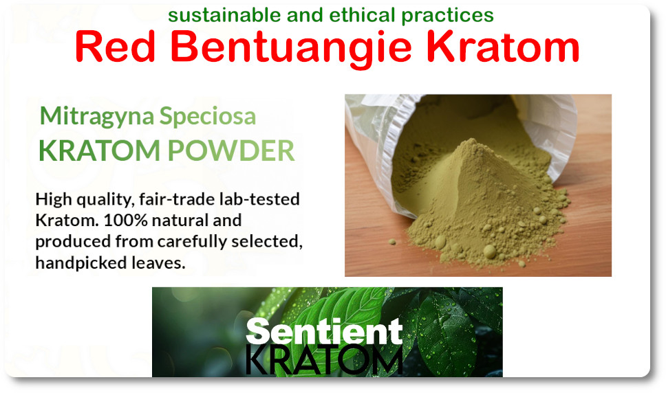 sustainable and ethical practices.